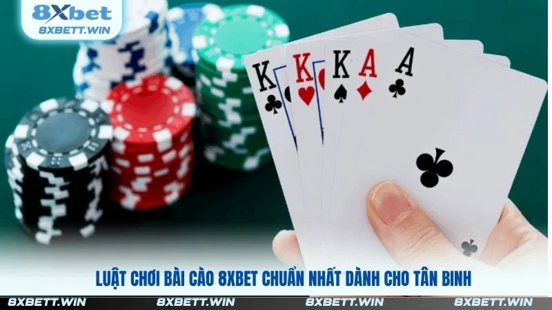 Bài Cào