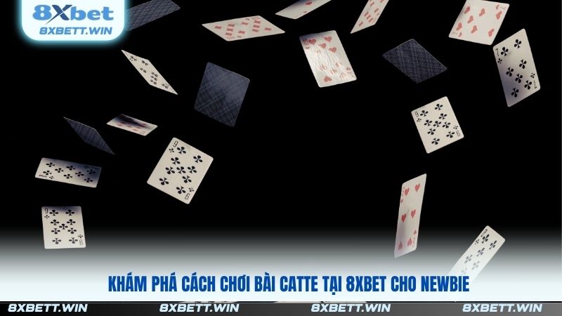 Bài Catte