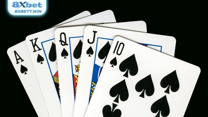 Luật chơi bài catte đơn giản mà ai cũng cần biết