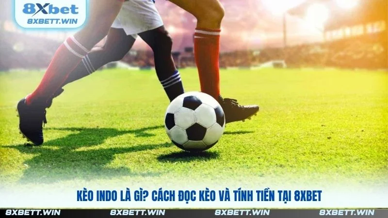 Kèo Indo