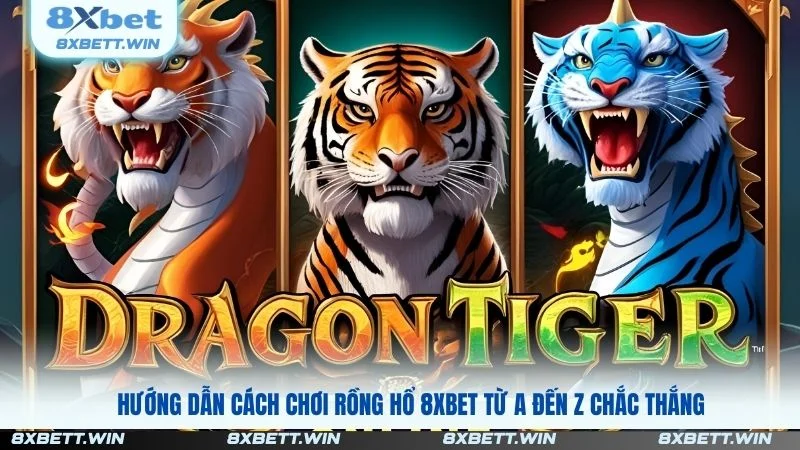 Rồng Hổ